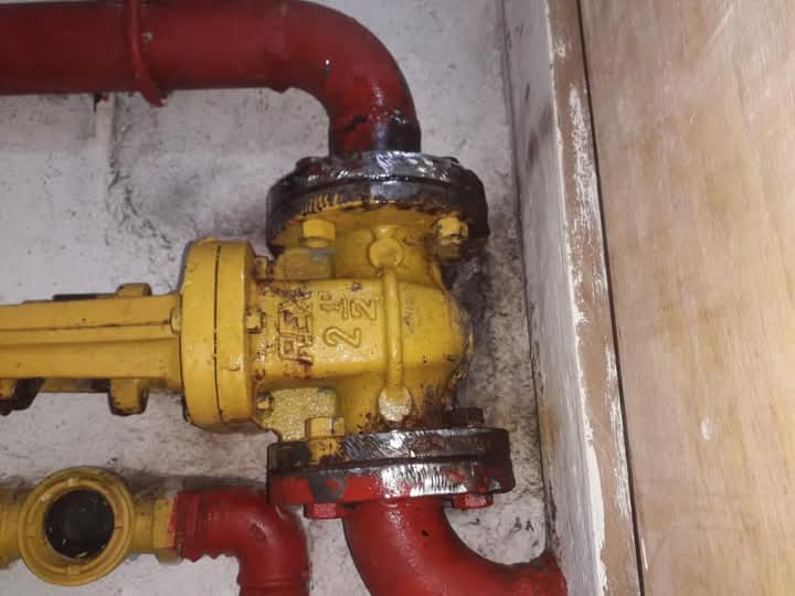 FB_IMG_1772560554701.jpg